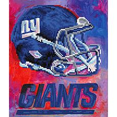 Officially Licensed NFL Team Pride Craft Kit