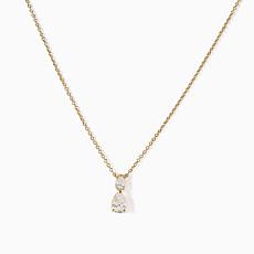 Radiance by Absolute™ 2-Stone CZ Drop Necklace 