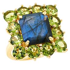 Rarities Rectangular-Cut Gemstone Frame Gold-Plated Ring