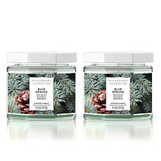 ScentWorx by Slatkin + Co. 2-Pack 14.5 oz. Blue Spruce Candles