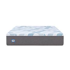 Sealy 12" Medium Feel Hybrid Mattress - Cal King