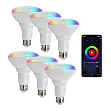 Smart WiFi BR30 E26 Dimmable Flood Light Bulb LB1- 6PK - 11W