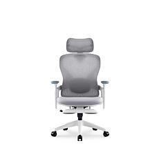 TopJob Aura Ergonomic Chair