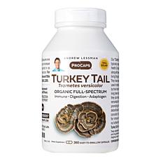 Turkey Tail Mushroom - 360 capsules