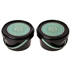 Tweak'd by Nature 2-pk Supersize Green Tea Cleansing Hair Treatment AS
