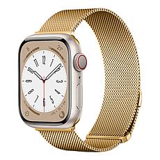 WFG Metal Mesh Magnetic Band 42/44/45mm