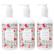 Beekman 1802 Hand & Body Wash Pistachio Dark Cherry 3-pack