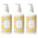 Beekman 1802 Honey & Orange Blossom Goat Milk Hand & Body Wash 3-pack
