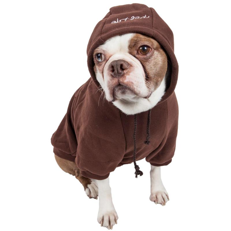 pet sweatshirt