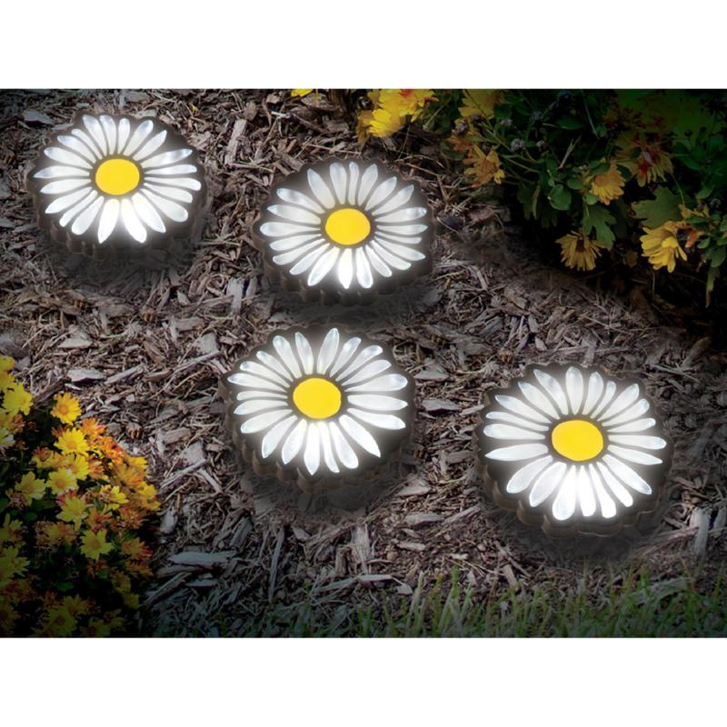 Set of 4 Solar Powered Daisy Lights