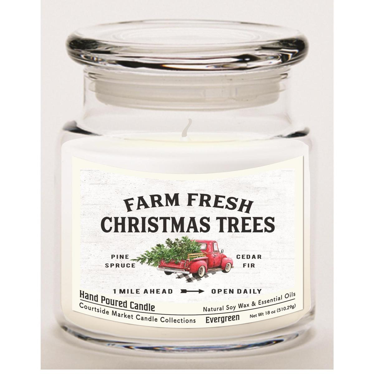 Courtside Market Fresh Farm Trees Wax Infused Candle with Glass Lid
