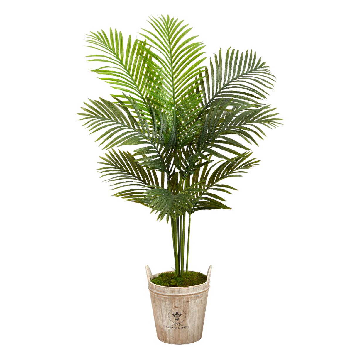 5 Ft. Paradise Palm Artificial Tree in Farmhouse Planter 9948579 HSN