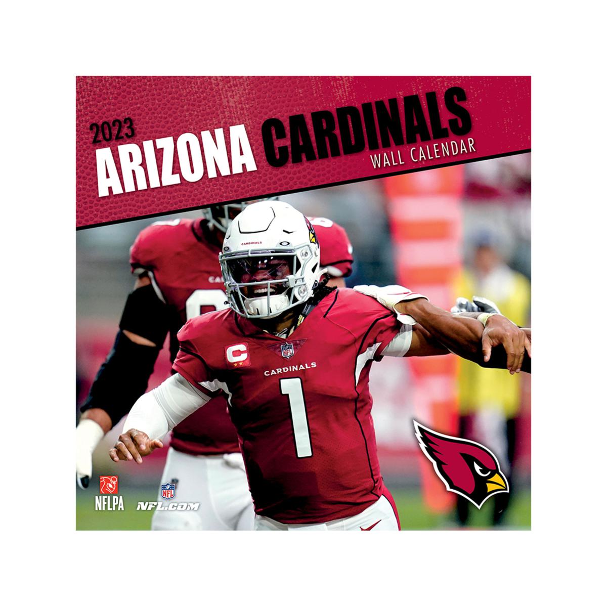 Arizona Cardinals 2022 Schedule