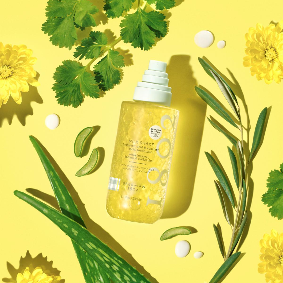 Beekman 1802 2-pack Milk Shake Hydrating & Toner Mist | HSN