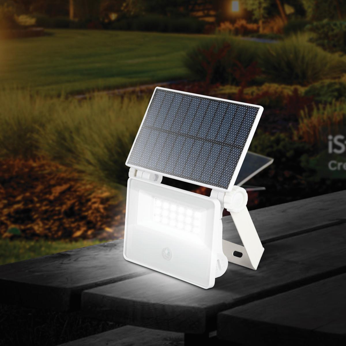 光電子®繊維　ベルポー（Belle Peau）　光電子シェイパー　Ｌサイズ 光電子®繊維 ベルポー（Belle Peau） 光電子シェイパー Lサイズ 2026