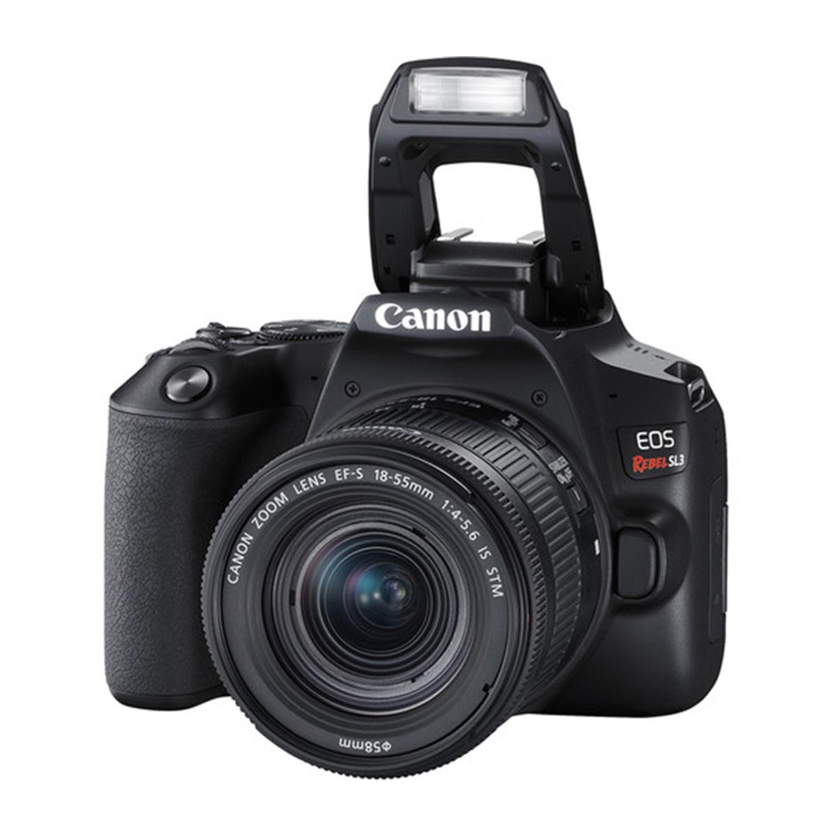 Canon EOS 250D / Rebel SL3 Review – Last Hurrah For DSLRs