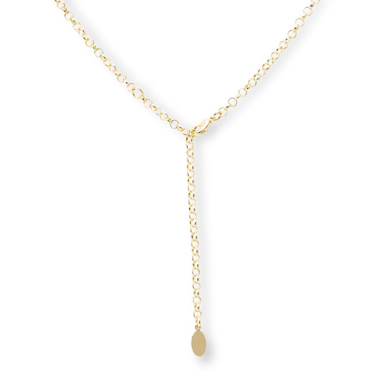 Heidi Daus Pretty Paw Print Crystal Goldtone Drop Necklace | HSN