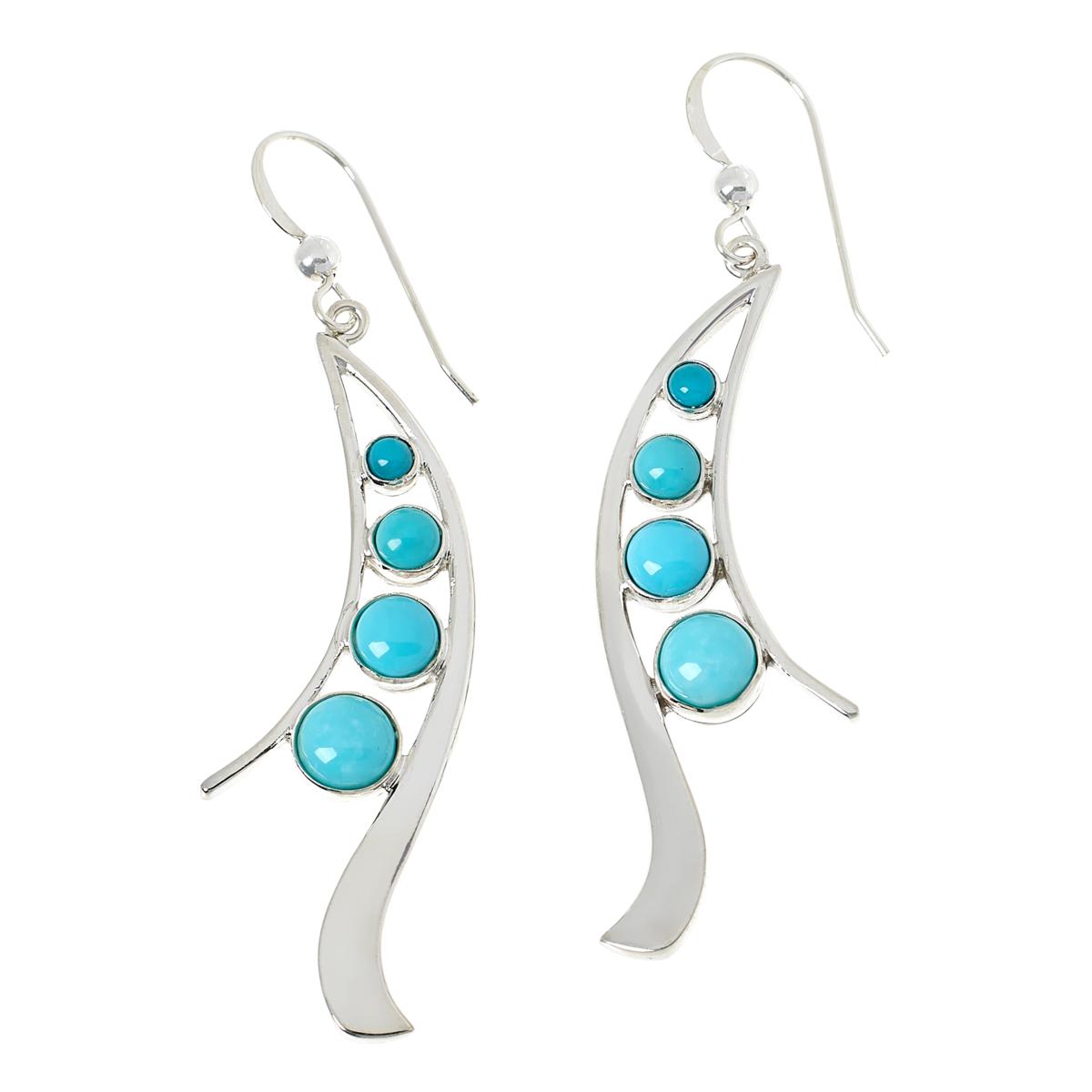 Jay King Gallery Collection Campitos Turquoise Wavy Dangle Earrings ...