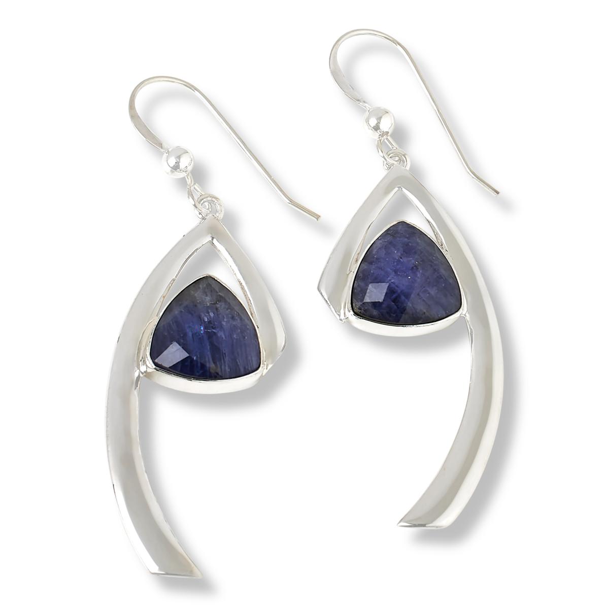 Jay King Gallery Collection Sterling Silver Tanzanite Drop Earrings ...