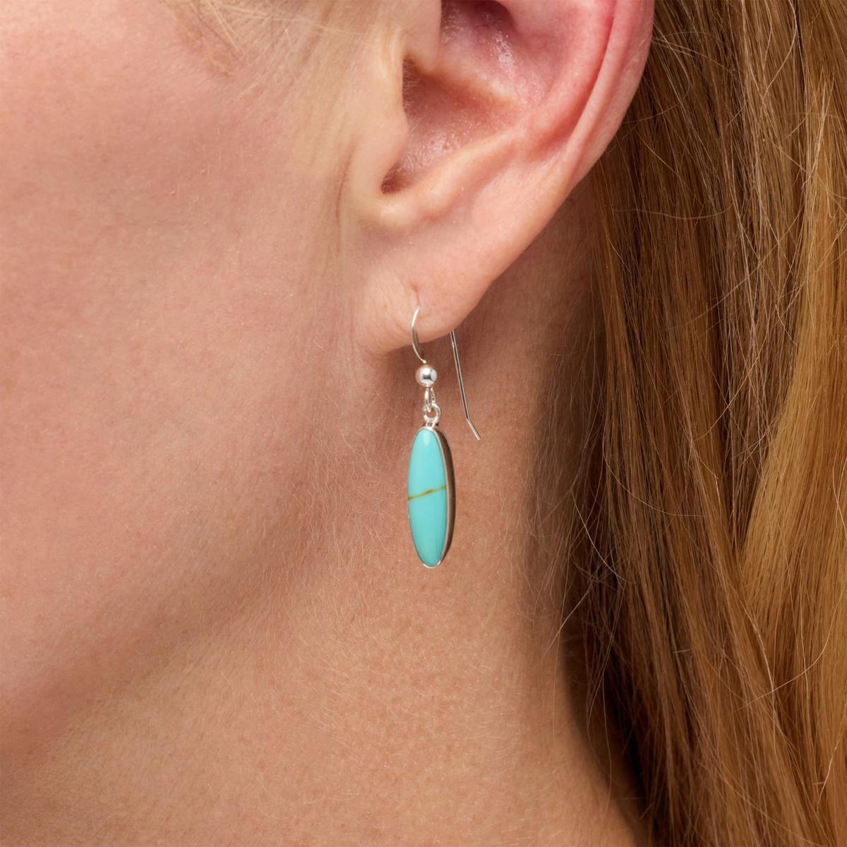 Jay King Sterling Silver Campitos Turquoise Drop Earrings
