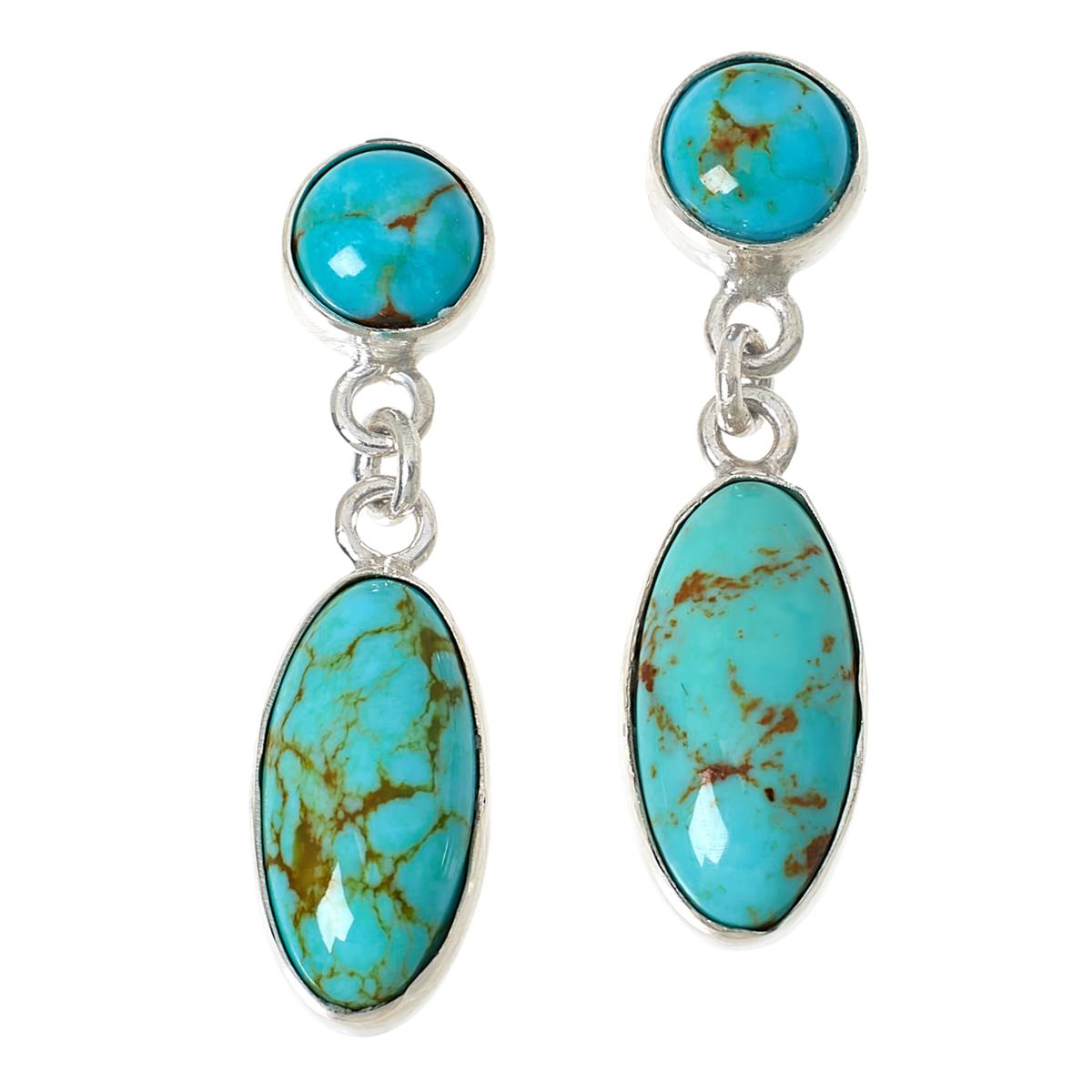 Hsn turquoise earrings sale