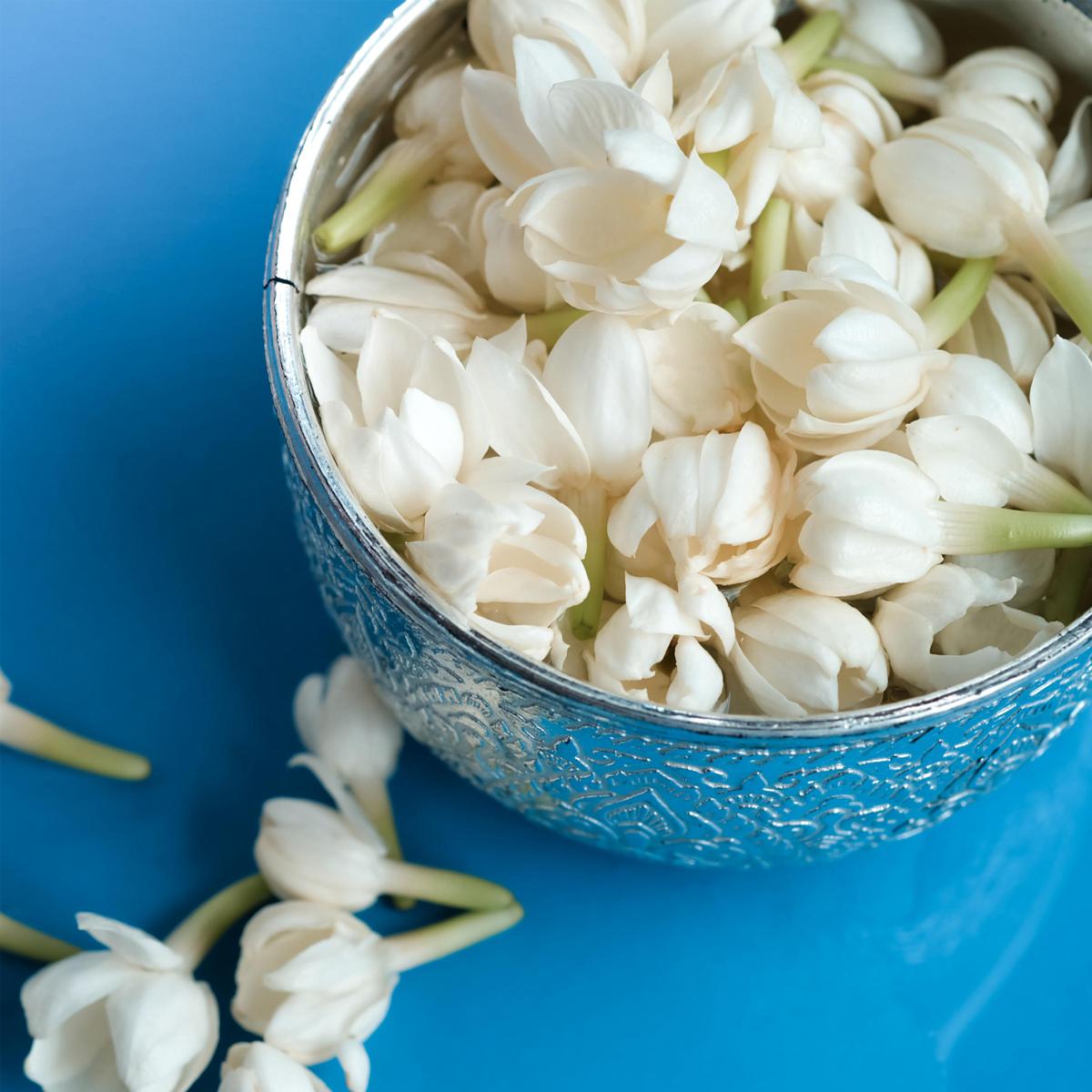 Leaf and Petal 1-Piece Fragrant Arabian Jasmine - 23520682 | HSN