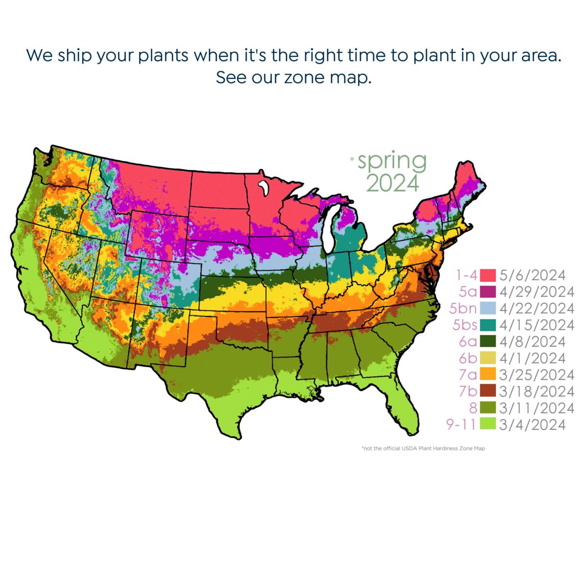 Daylight saving time 2024: Time change details; when to 'spring ahead