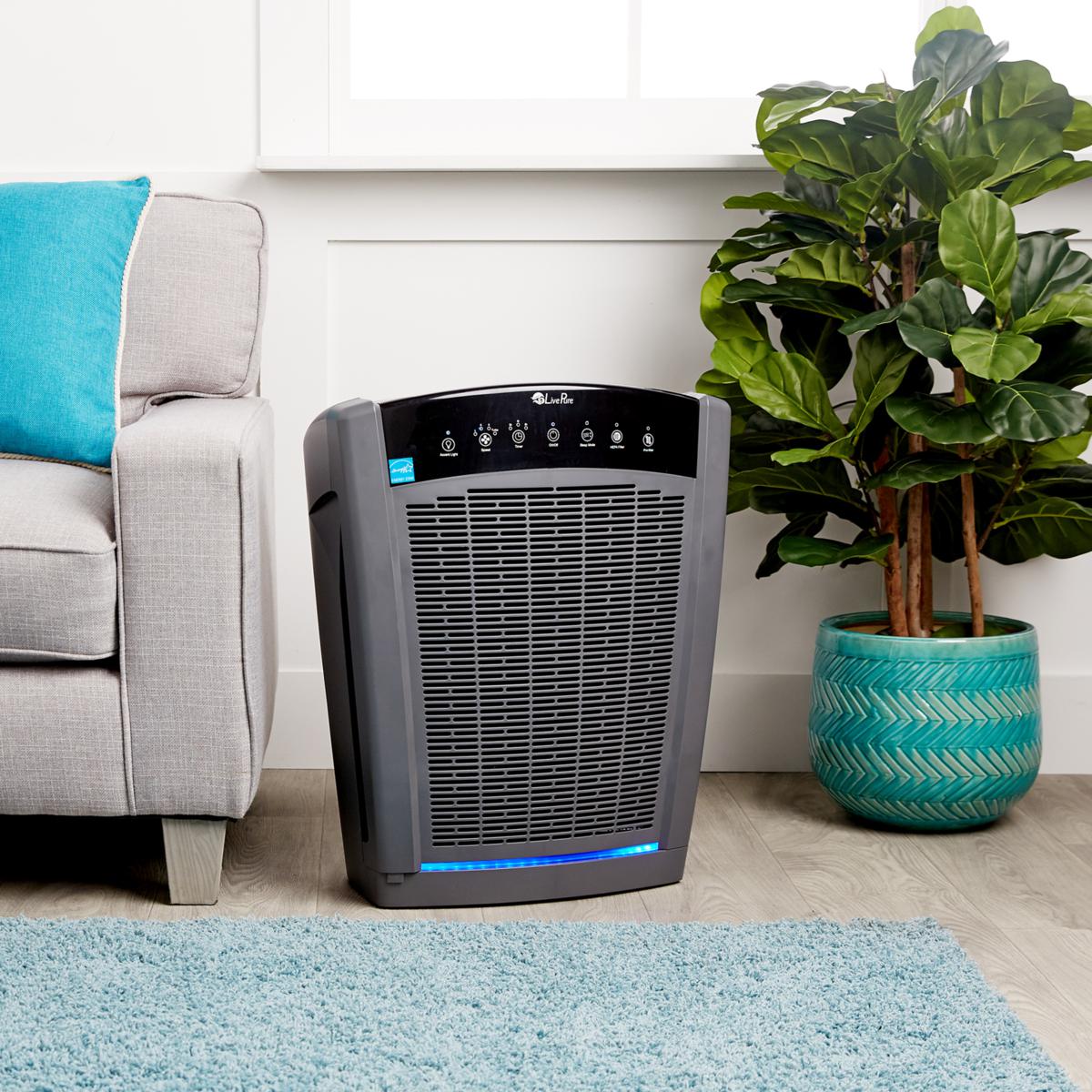 Live pure bali series large true on sale hepa air purifier