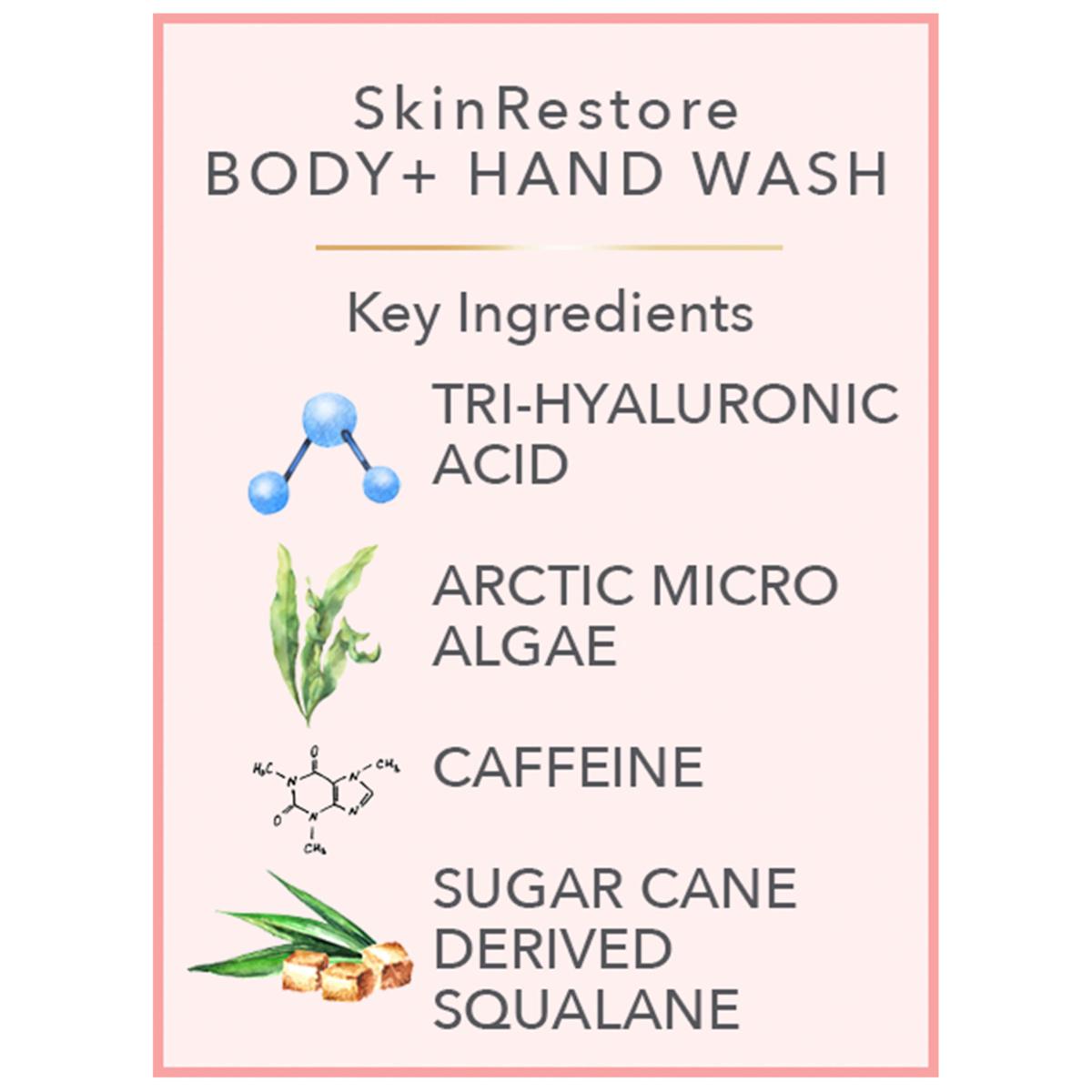 Nakery Beauty California Dreamin Skinrestore Body Hand Wash Hsn