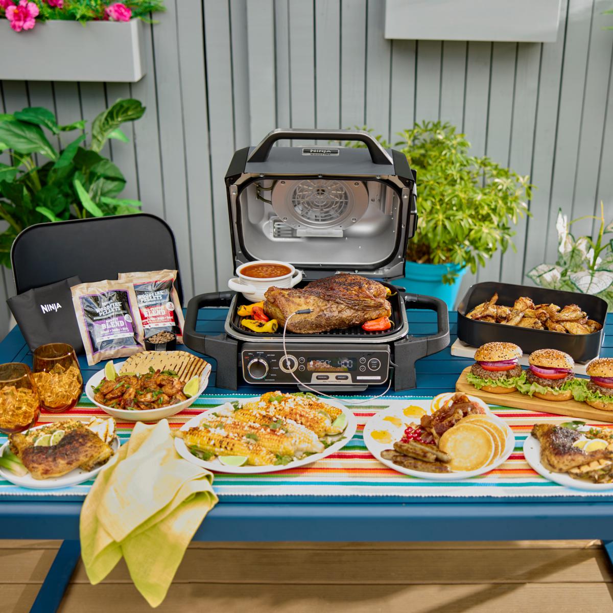 Ninja Woodfire Pro Outdoor Smoker Grill & Probe with Cover | HSN