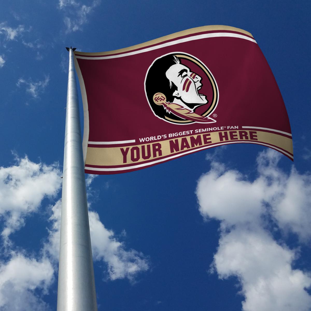 Florida State Seminoles Personalized Name Fans Team Ncaa 3d