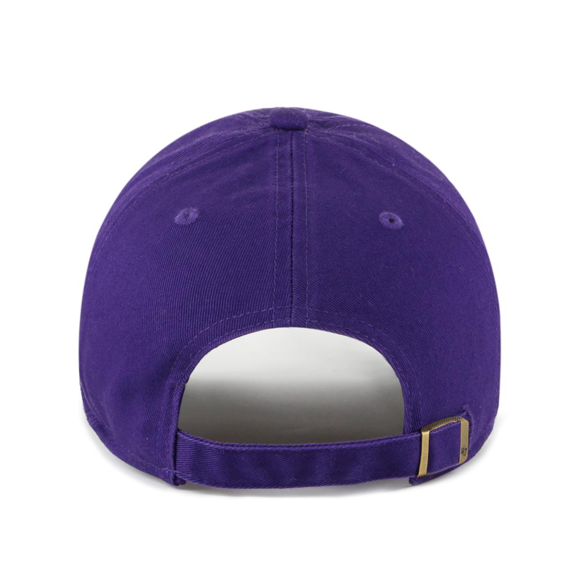 47, Accessories, New 47 Brand Minnesota Vikings 2 Tone Cap