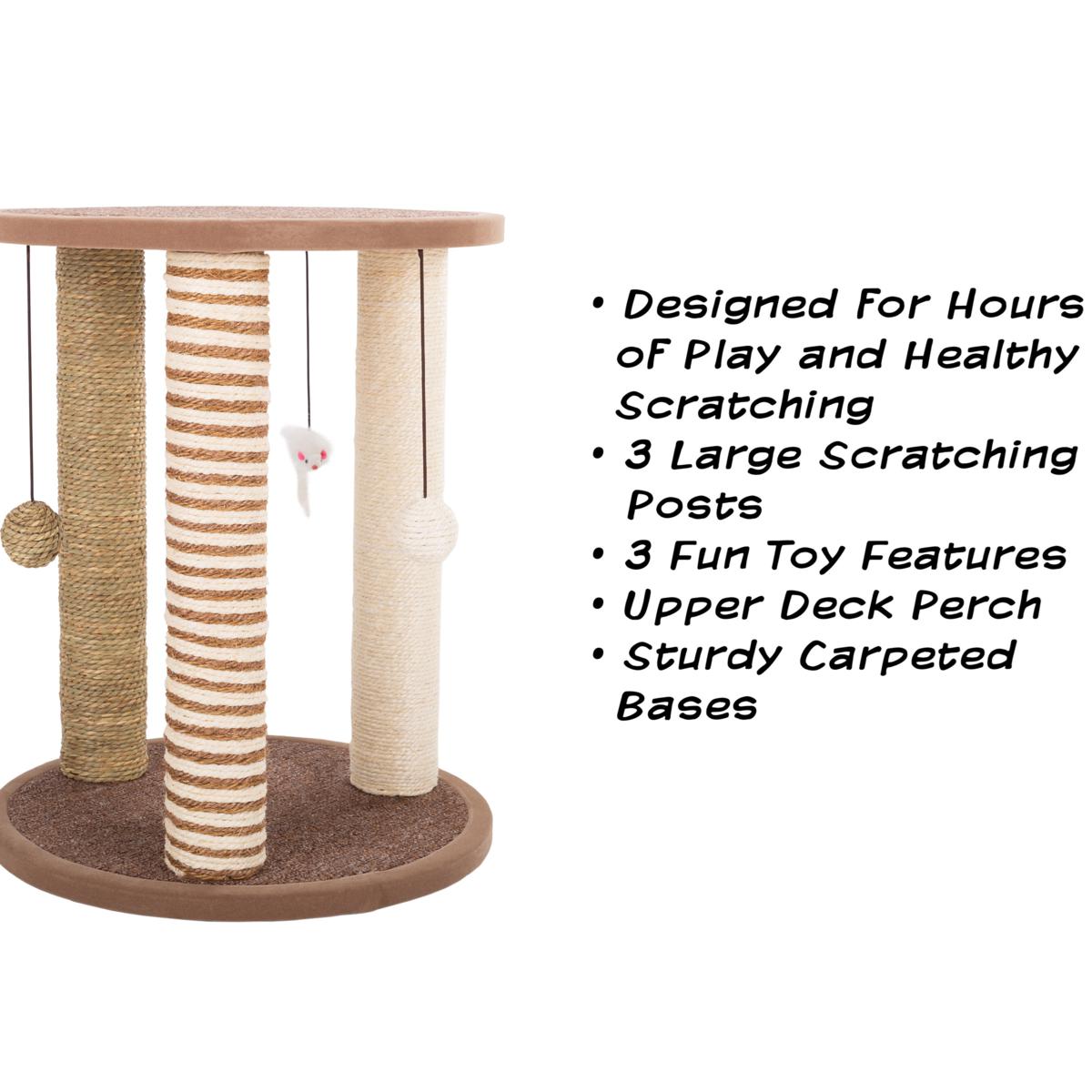 best storage bins for cat litter box Petmate Litter Pan Top Entry