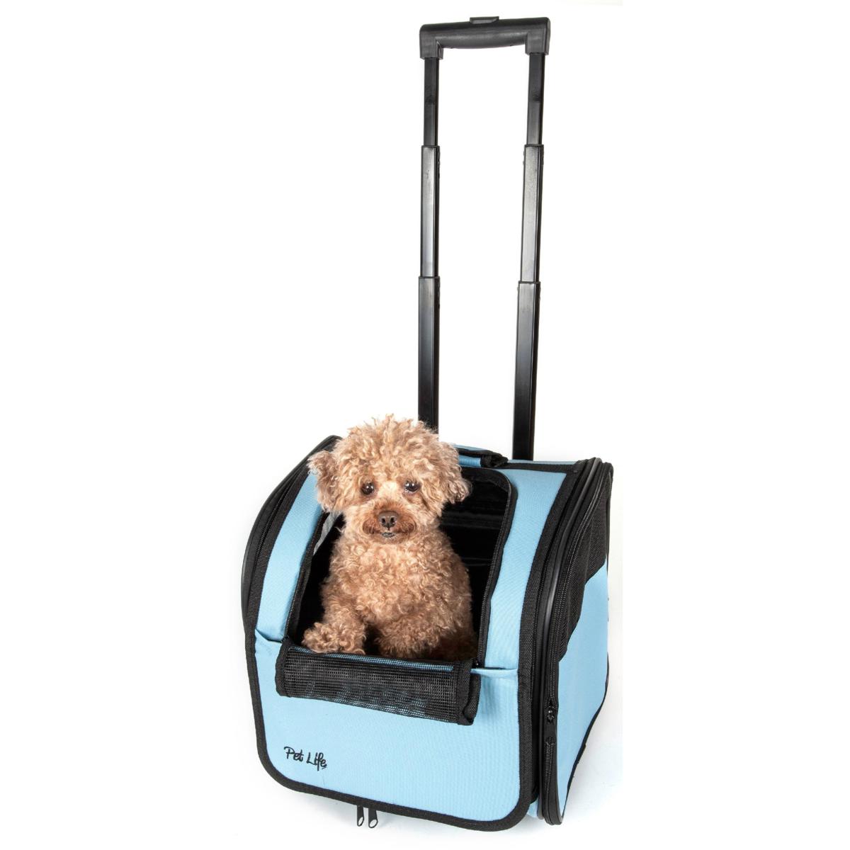 Petlife pet outlet carrier