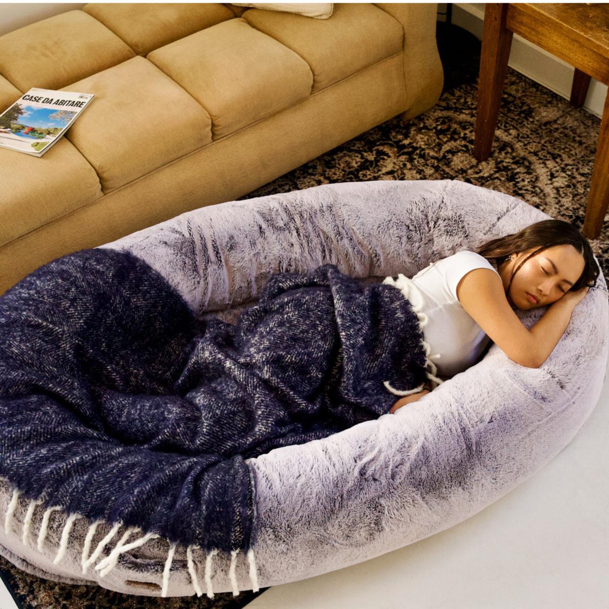 Comfy dog outlet bed