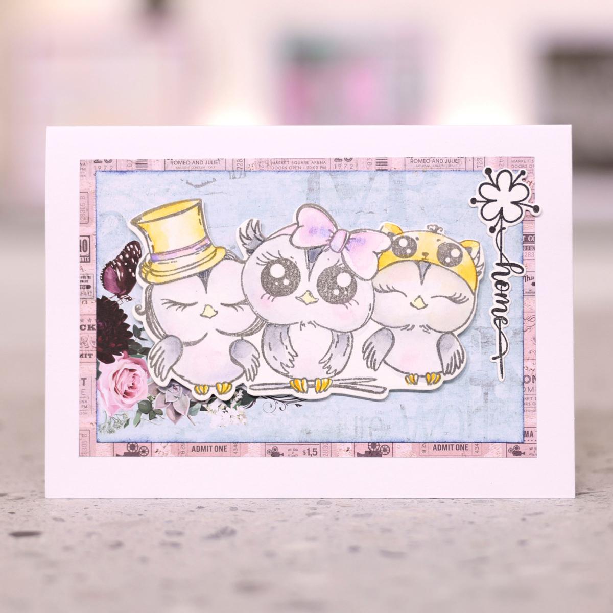 https://i01.hsncdn.com/is/image/HomeShoppingNetwork/rocs1200/stamps-by-me-owl-always-love-you-stamp-and-die-kit-d-20230818121048663~839542_alt3.jpg