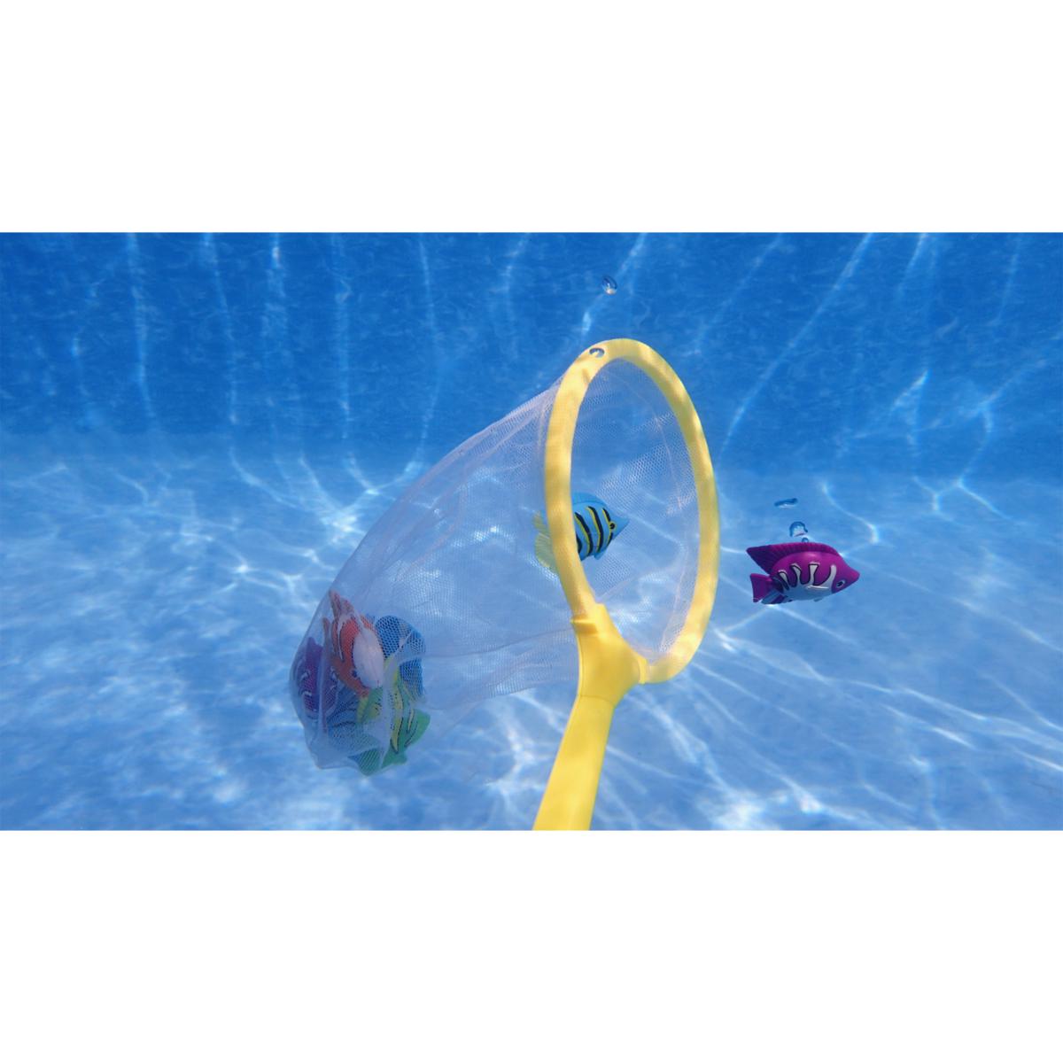Swimline Fish Catch Game | HSN