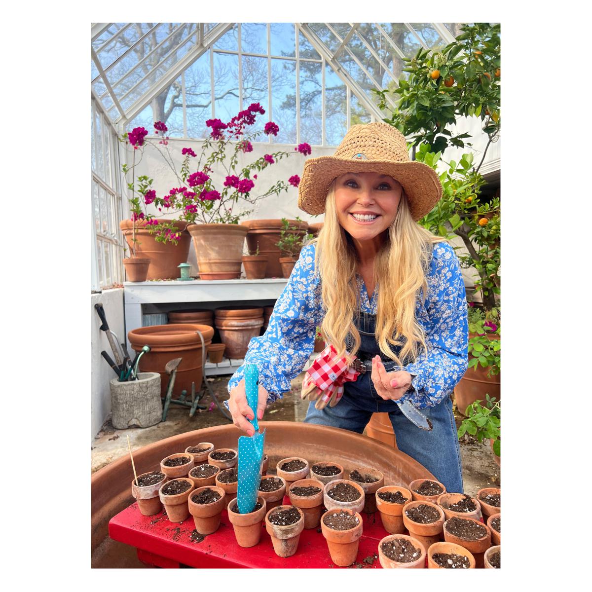 Tower Hill by Christie Brinkley 3pc Garden Set- Gloves, Shears