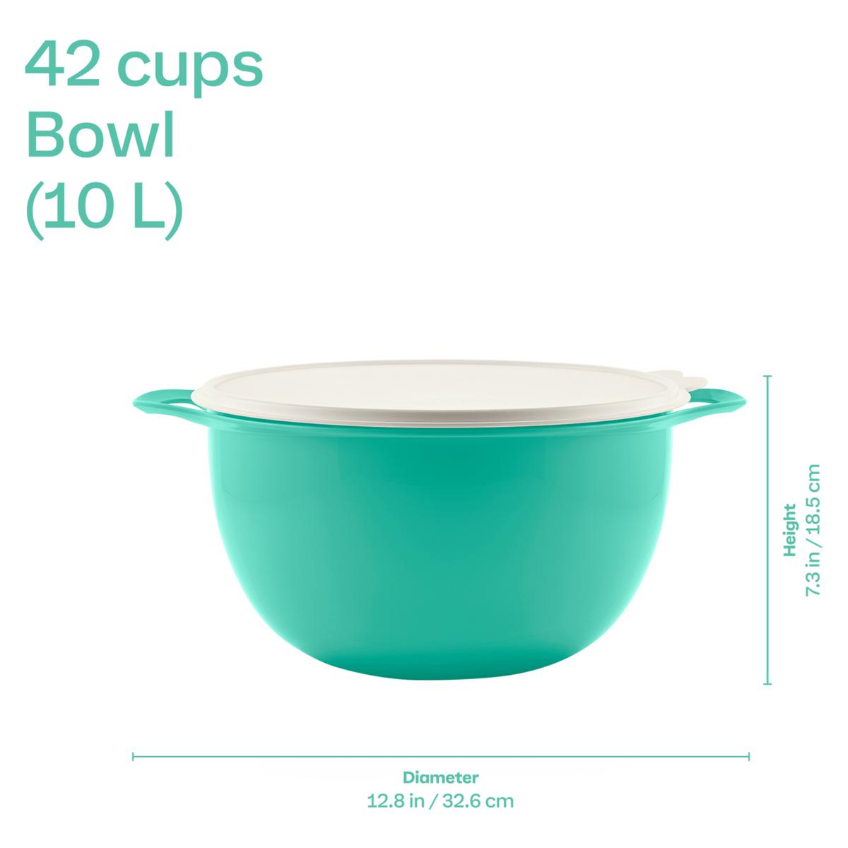 ファッションなデザイン Tupperware® Lid with Bowl Capacity 42-Cup Mega Thatsa® 絵本・児童書