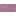 Lavender Purple