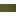 Vibrant Olive