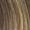 Brown Blonde