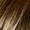 Brown Blonde