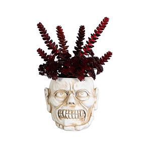 10-in Succulent Plant in Zombie by Nearly Natural