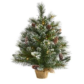 2 ft. Frosted Pine Artificial Christmas Tree with 35 Clear LED Ligh...