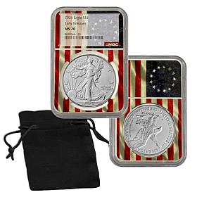 2026 MS70 NGC Early Releases Silver Eagle with Betsy Ross Flag Core