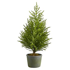 3 ft. Norfolk Island Pine Natural Look Artificial Tree in Decorativ...