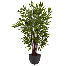 4 Ft. Bamboo Silk Tree with Planter