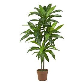4 Ft. Dracaena Real Touch