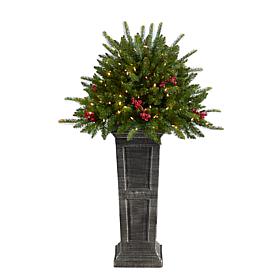 4' Holiday  Christmas Plant Pre-Lit and Glittered on Pedestal